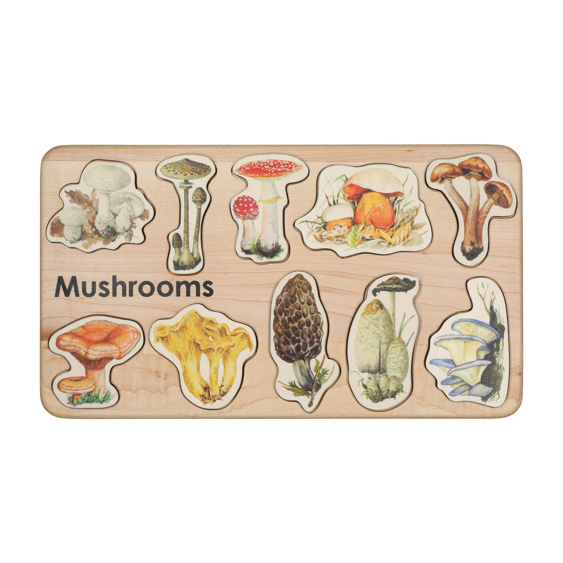 4 Wooden Mushrooms with Frog – Novel Wares