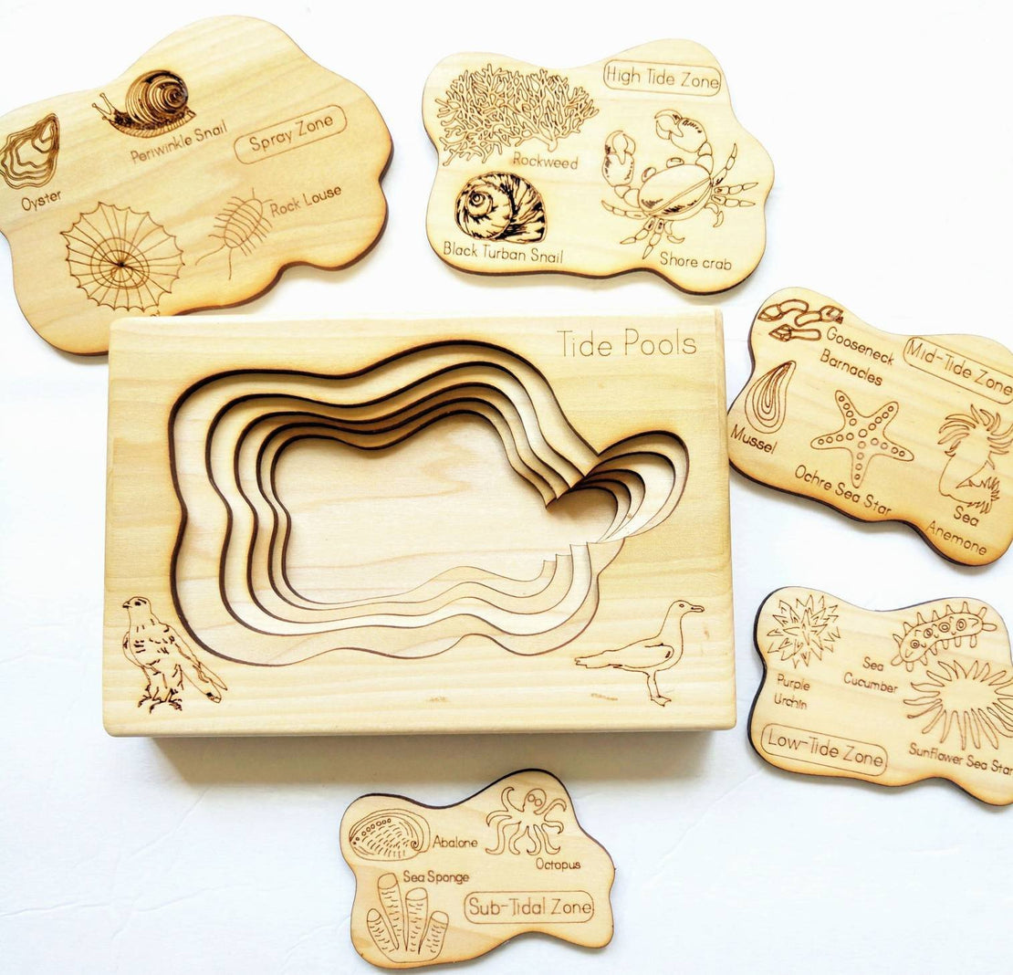 Waldorf Wooden Snail Puzzle — Set of 6
